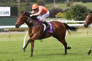Media Sensation (I Am Invincible) continues to step up, winning the Group 3 Soliloquy Stakes on Saturday.